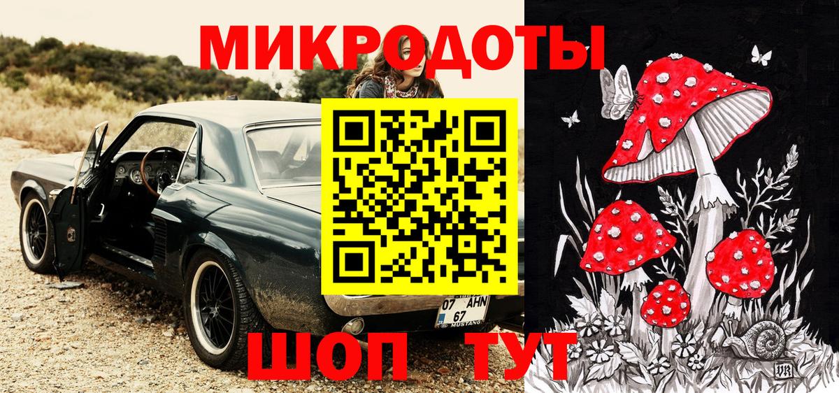 Галлюциногенные грибы Psilocybine cubensis Люберцы