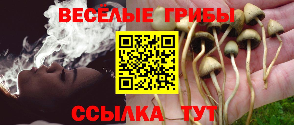 Люберцы  Псилоцибиновые грибы Psilocybine cubensis  Псилоцибиновые грибы Psilocybe  Вход с VPN 